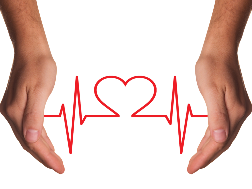 Hands Holding Red Heart With Ecg Line Png Image - Meditation And The Heart , HD Wallpaper & Backgrounds