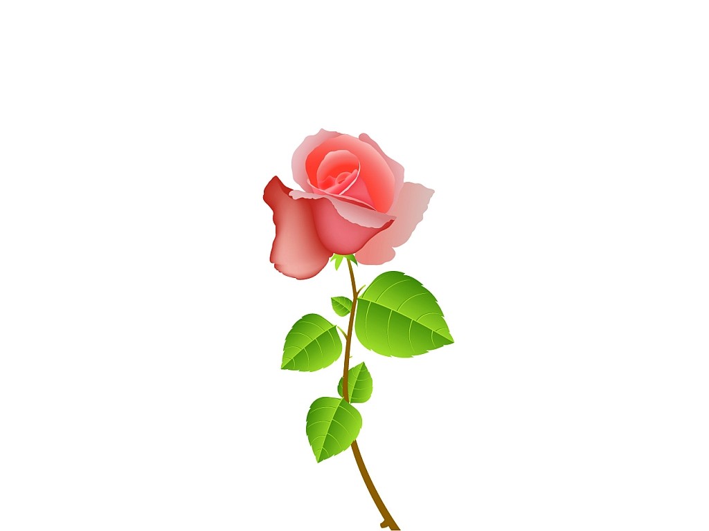 Download Flowers Flower Cool Rose Pink Wallpaper Images - Morning , HD Wallpaper & Backgrounds