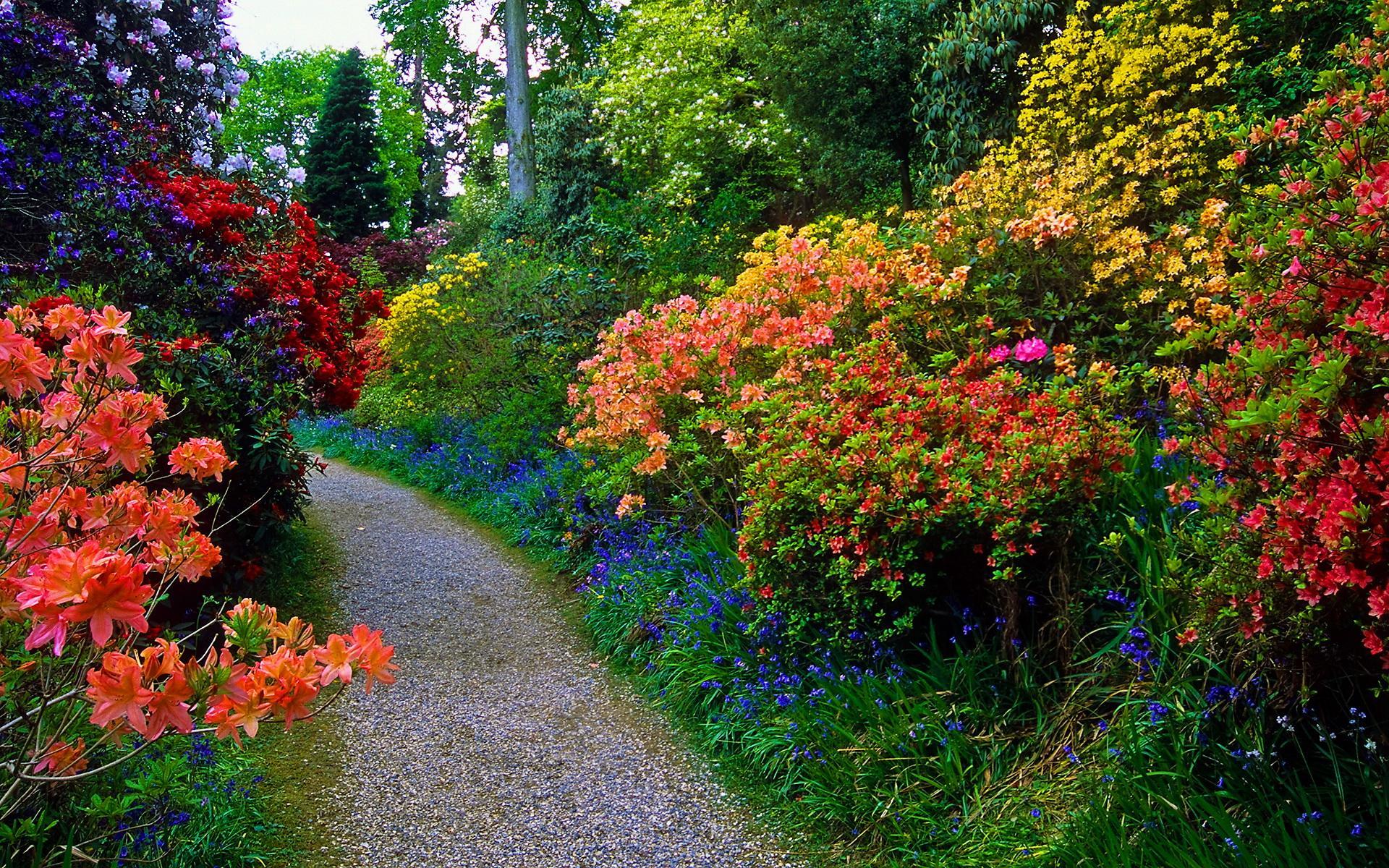 Click The Wallpaper To View Full Size - Flowery Garden , HD Wallpaper & Backgrounds