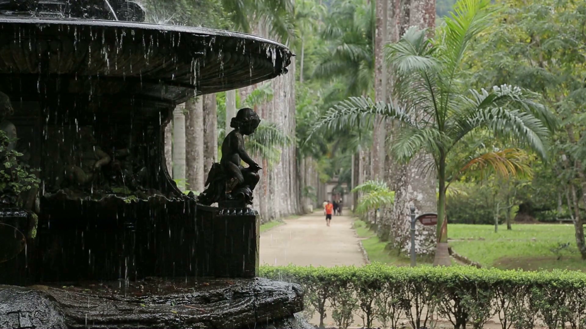 Jardim Botanico, Rio De Janeiro, Brazil Stock Video - Hd Jardim Botanico Rio De Janeiro , HD Wallpaper & Backgrounds