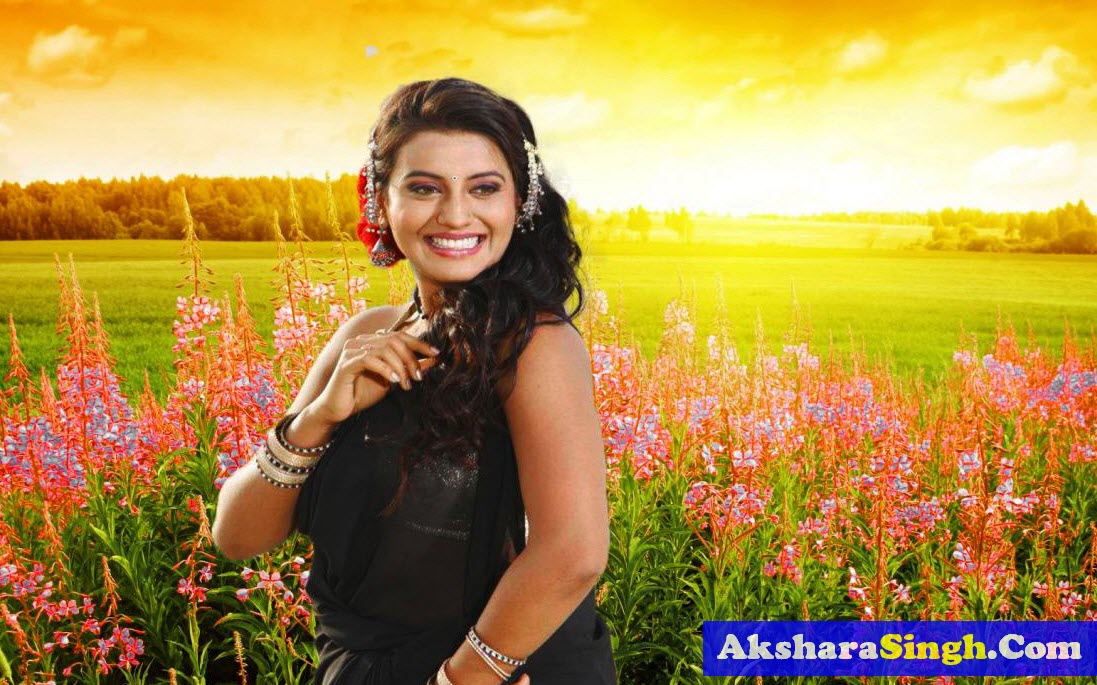 Akshara Singh Wallapers - Summer Field Of Flowers , HD Wallpaper & Backgrounds