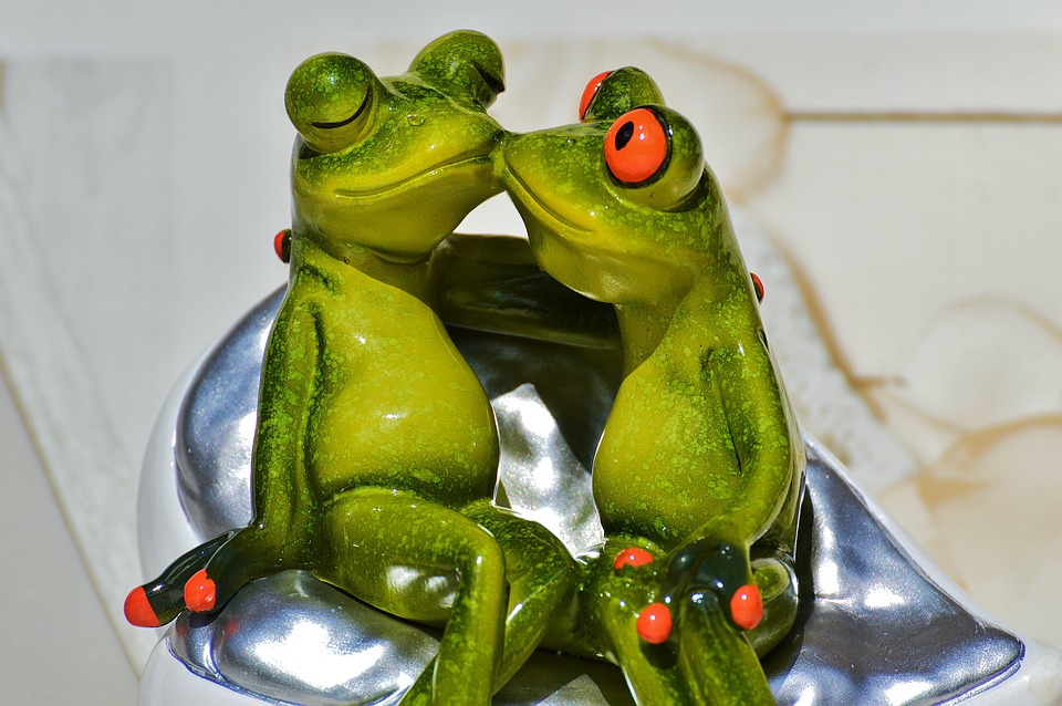 Frogs Lovers Funny Together Smooch Kiss Pair - Frog , HD Wallpaper & Backgrounds