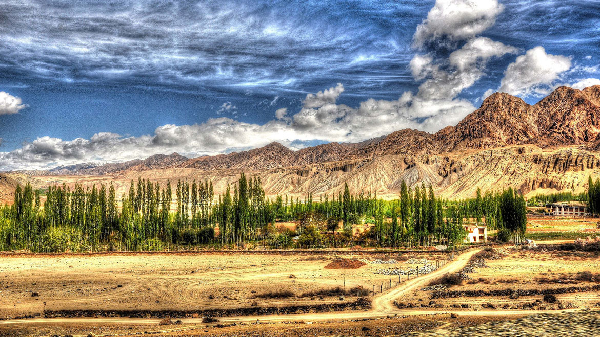 50 Top Places To Visit In Leh Ladakh - Ladakh Natural Vegetation , HD Wallpaper & Backgrounds