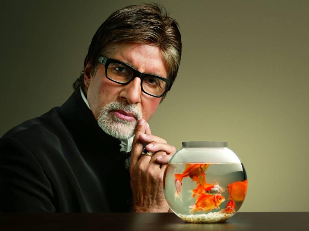 Amitabh Bachchan Wallpapers - Amitabh Bachchan Images Download Free , HD Wallpaper & Backgrounds