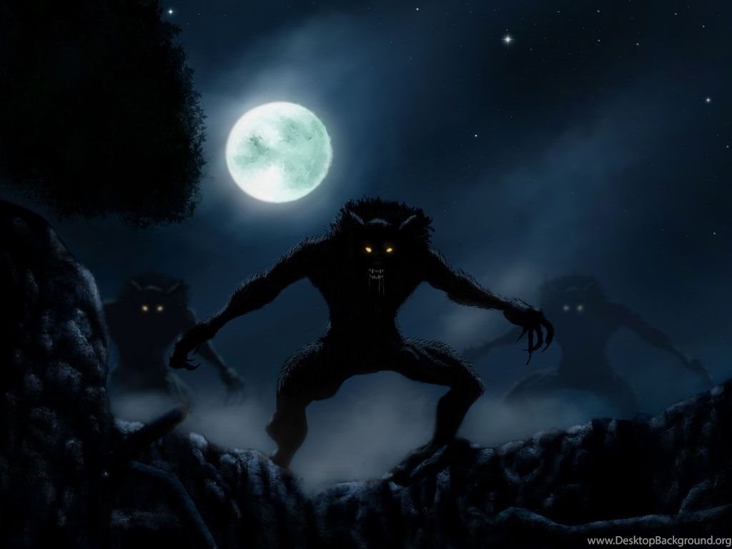 De Perros Lobos Lobo Siberiano Cachorros Espectaculares - Powerwolf The Sacrament Of Sin Cd , HD Wallpaper & Backgrounds