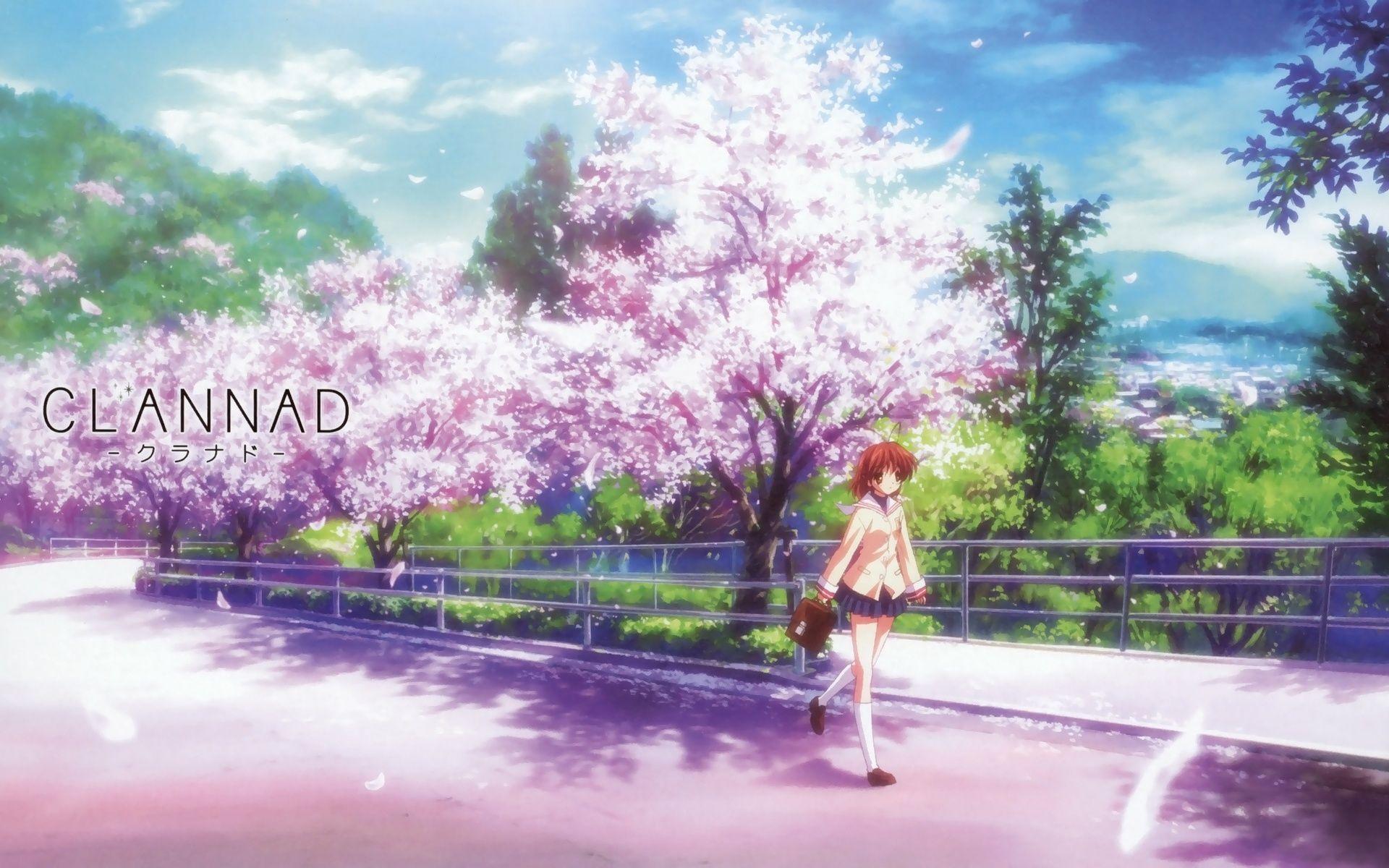 Clannad Wallpaper Nagisa Wallpaper - Cherry Blossom Animated Background , HD Wallpaper & Backgrounds