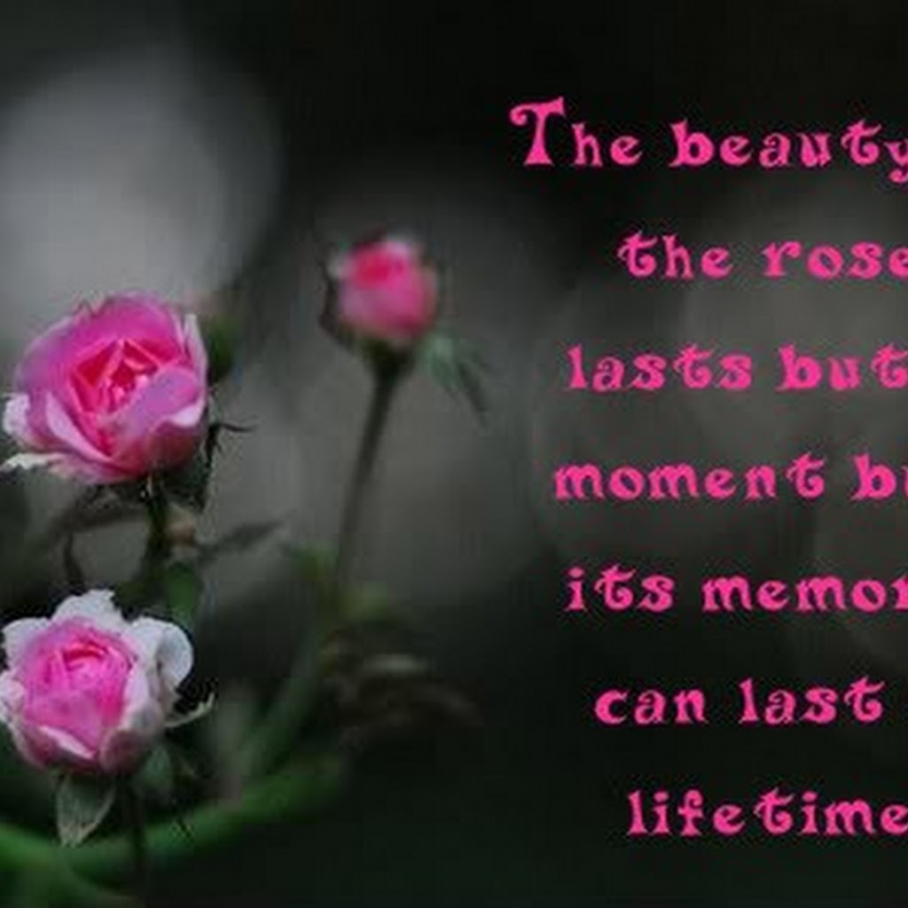  Flowers  Quotes  Love  8 Quotes 