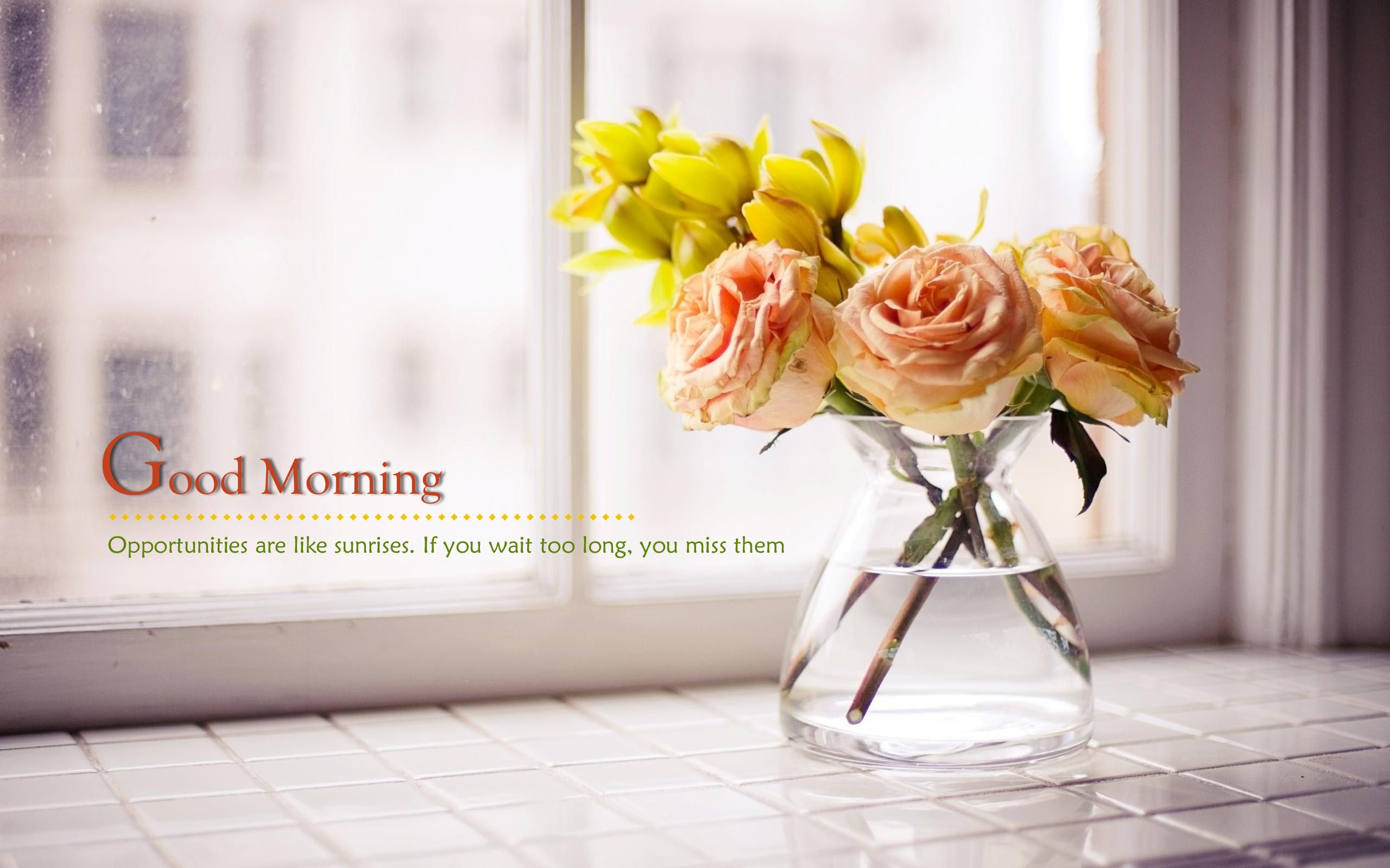 Good Morning Flowers Hd Wallpapers & Images - من از آن وقت که در بند توام آزادم , HD Wallpaper & Backgrounds