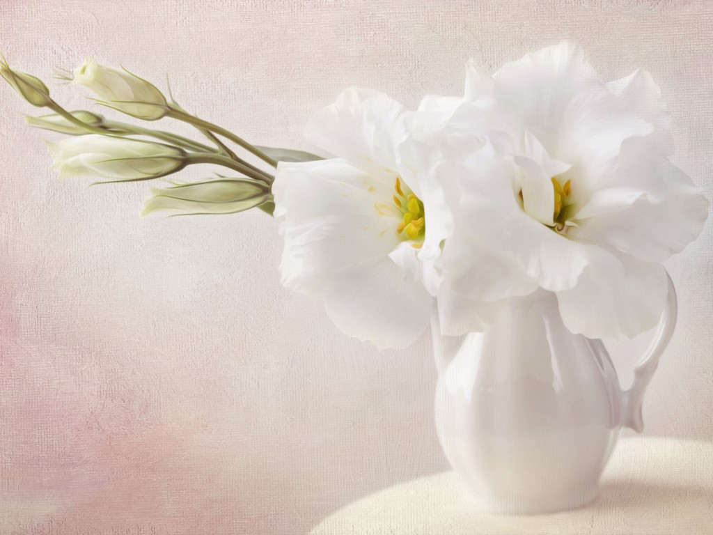 White Flowers - White Flowers In Vases , HD Wallpaper & Backgrounds