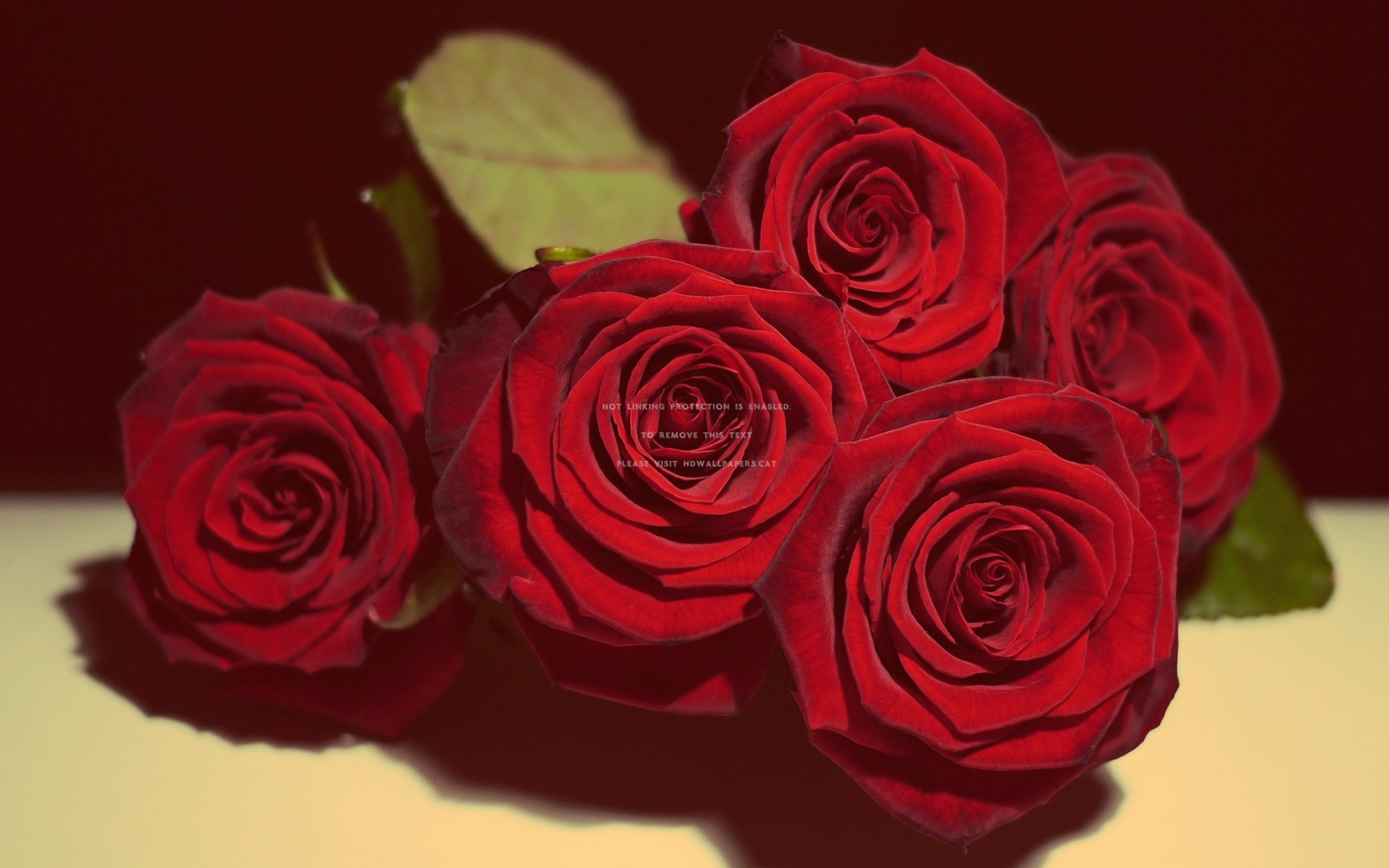 Love Romantic Beautiful Flowers , HD Wallpaper & Backgrounds