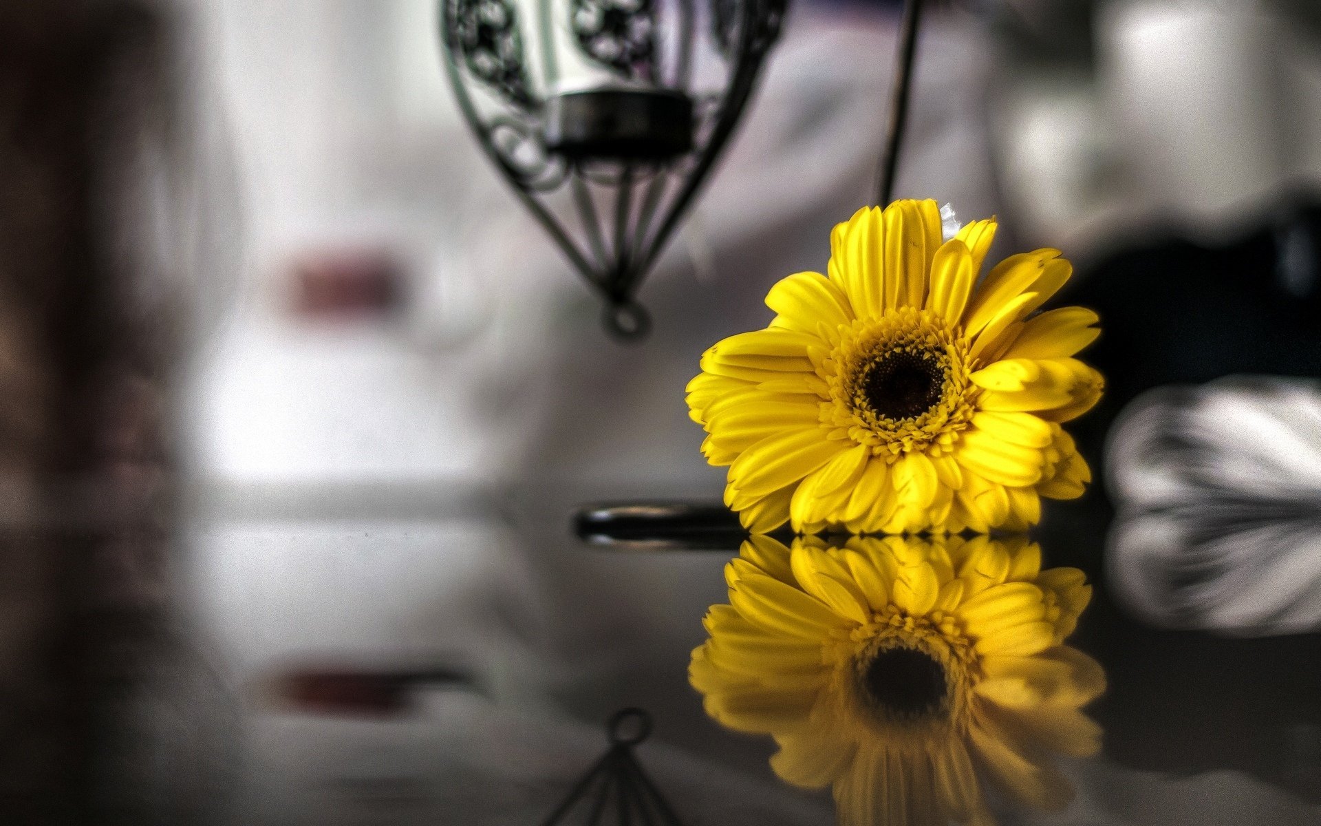 Flower Flowers Yellow Reflection Black And White Blur - Background Hd Black And Yellow , HD Wallpaper & Backgrounds