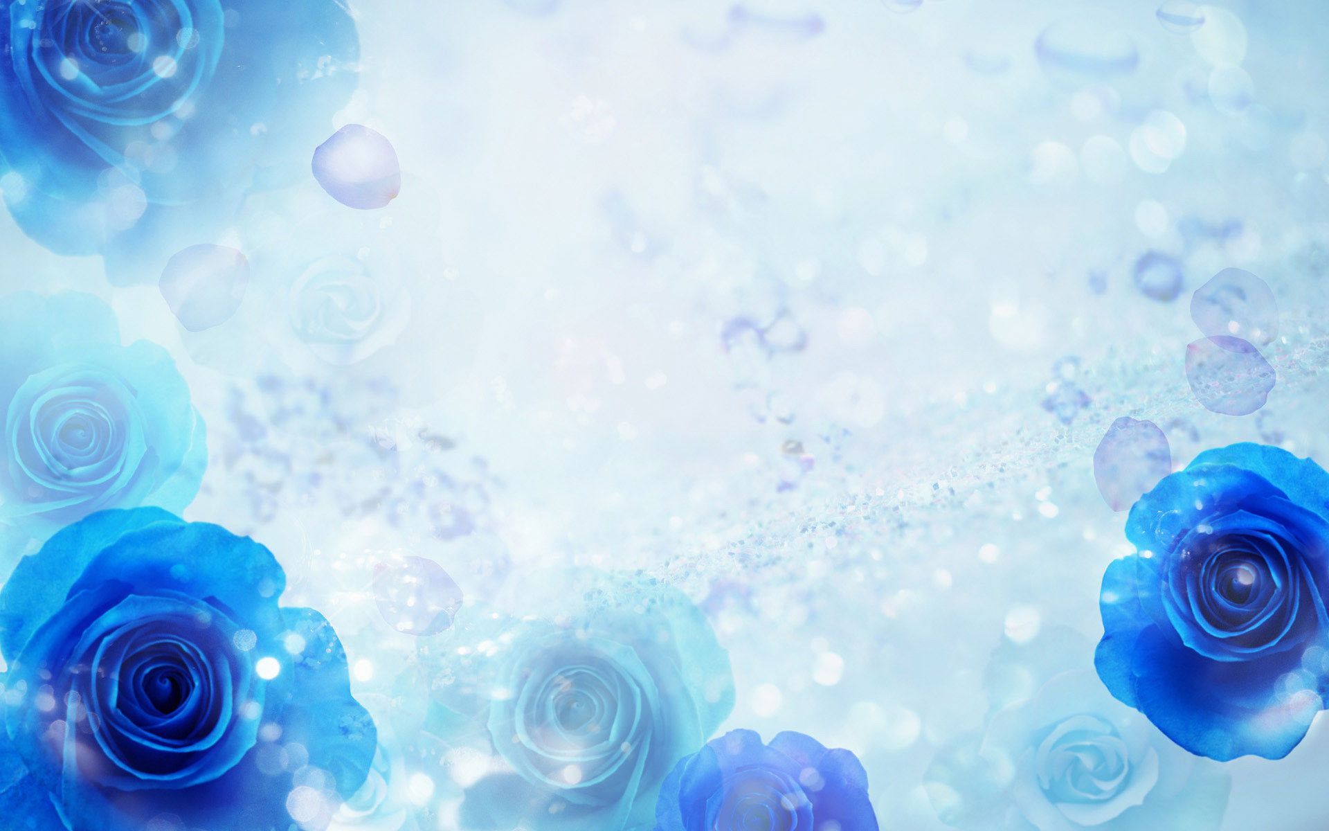 Blue Rose Backgrounds , HD Wallpaper & Backgrounds