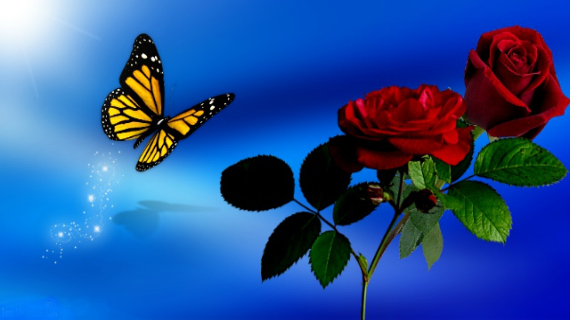 Butterfly Sky Spring Blue Roses Red Flowers Wallpapers - Blue Butterfly With Flower Wallpaper Hd , HD Wallpaper & Backgrounds
