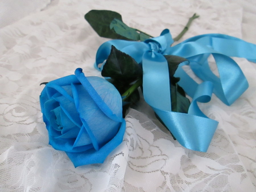 Sky Blue Rose Wallpapers - Happy Rose Day Blue , HD Wallpaper & Backgrounds