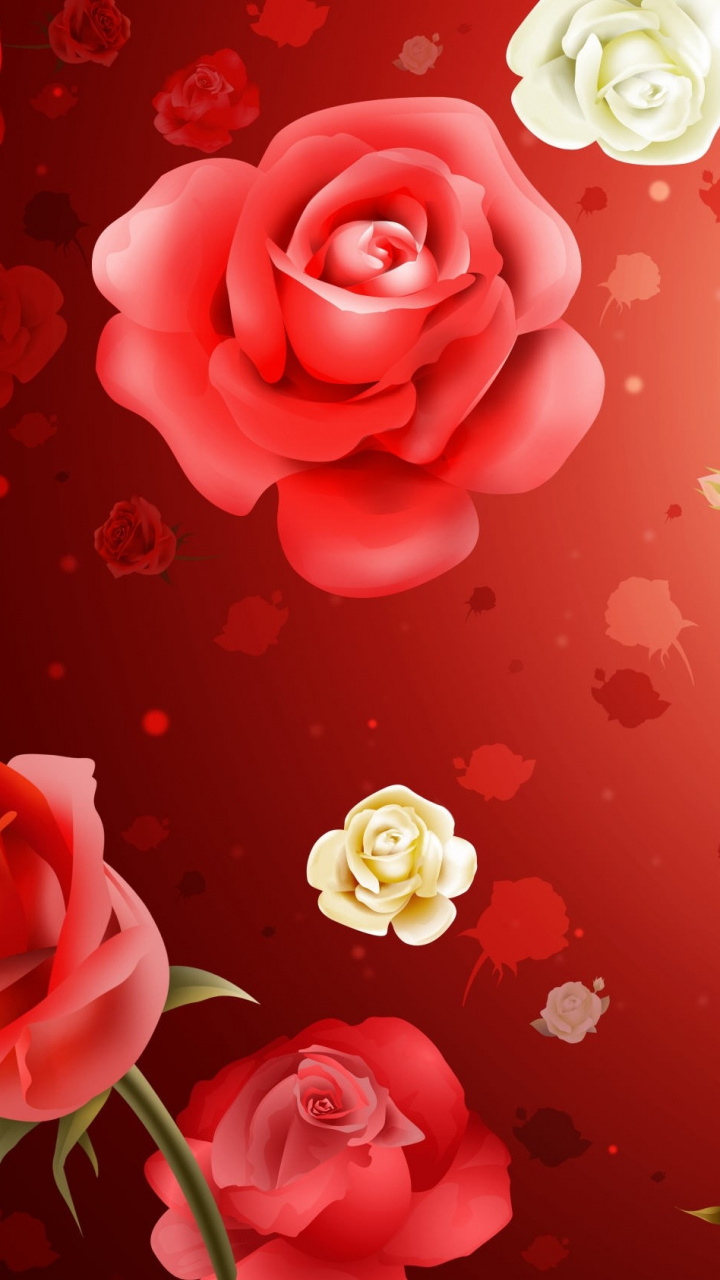 Blue Rose, Rose Family, Floral Design, Flora, Garden - غلاف الورد فيس بوك , HD Wallpaper & Backgrounds