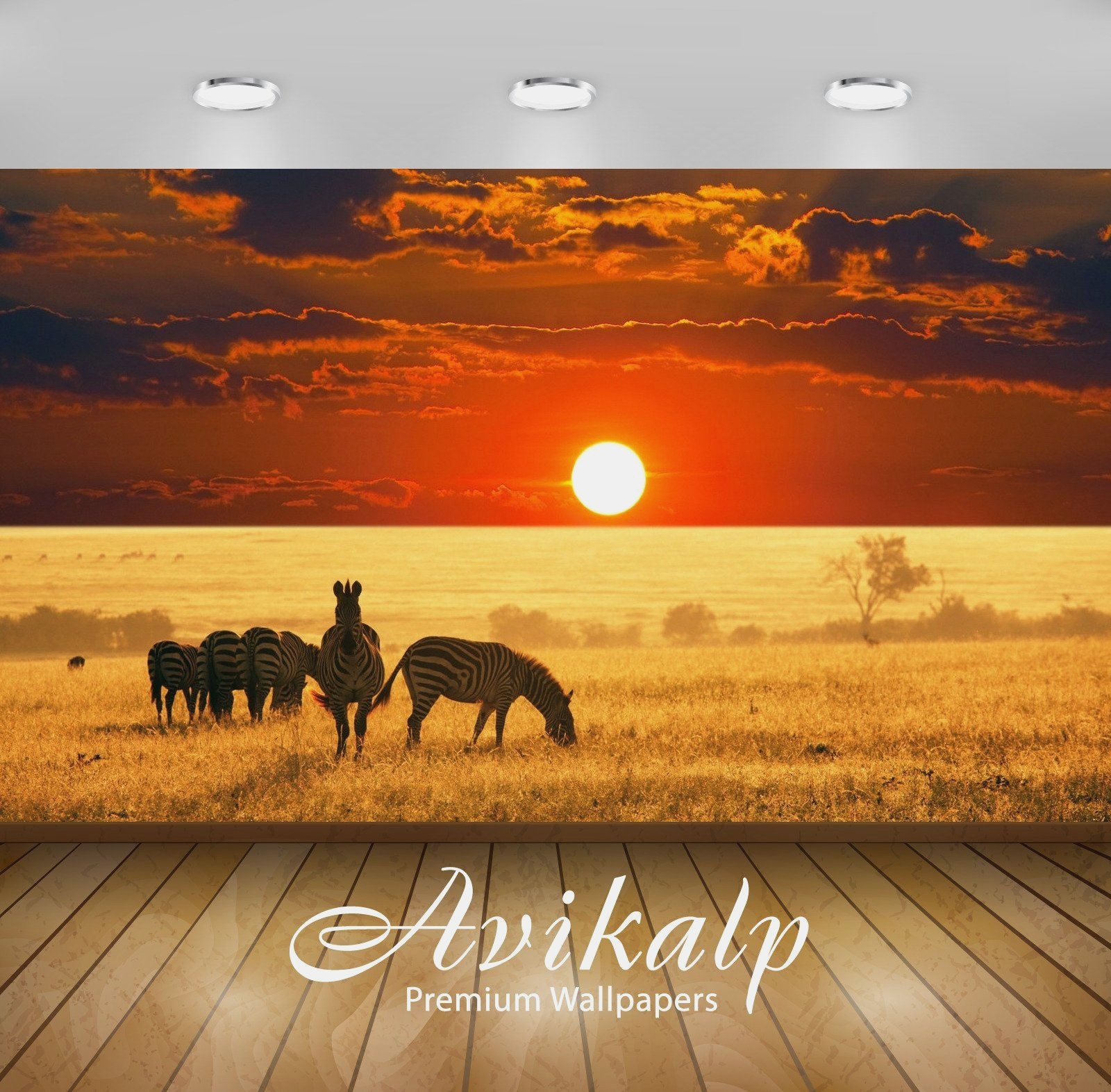 Avikalp Exclusive Scenery Sunset Zebra Awi1198 Hd Wallpapers - Africa Landscape , HD Wallpaper & Backgrounds
