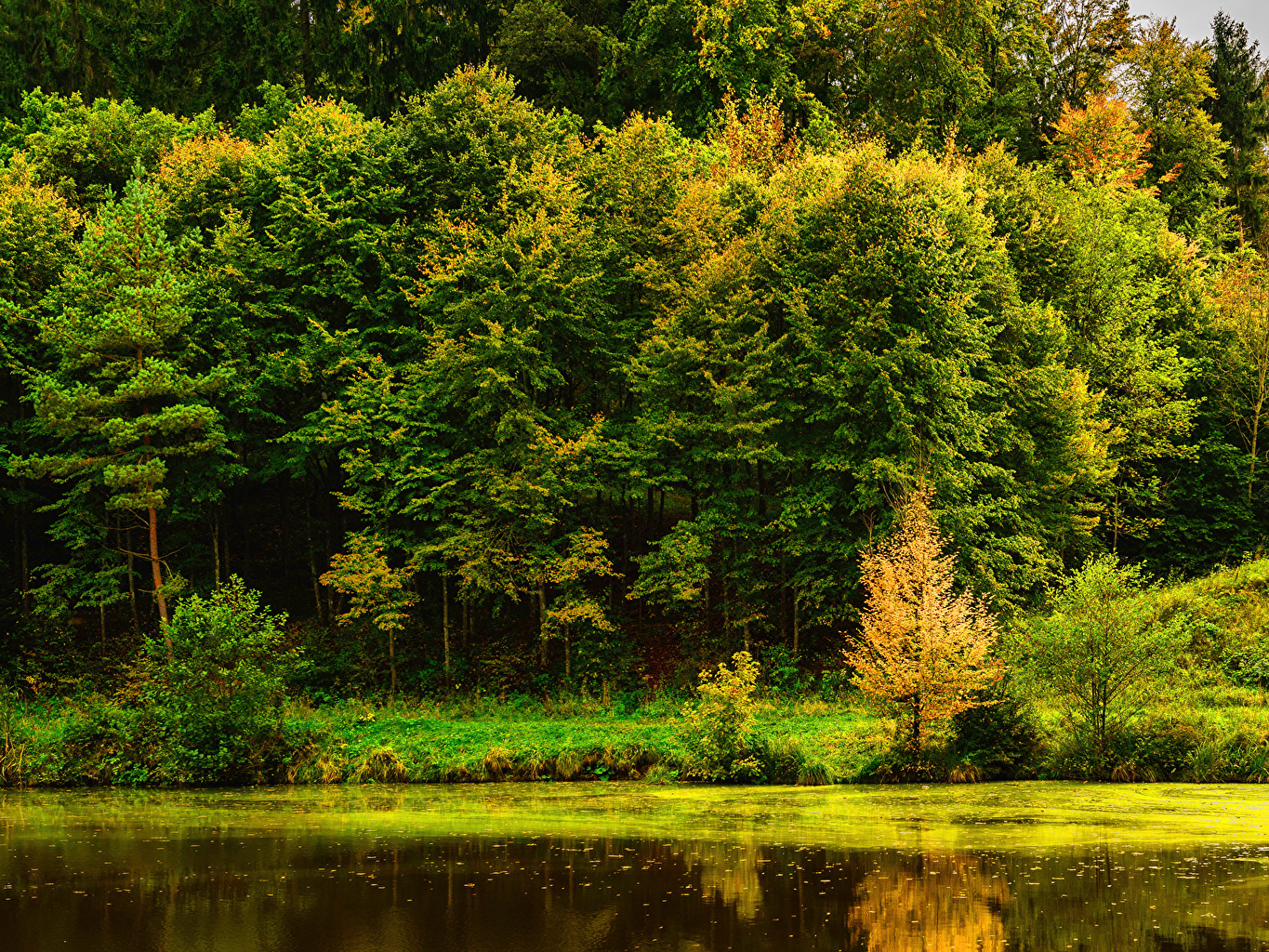 Reflection , HD Wallpaper & Backgrounds