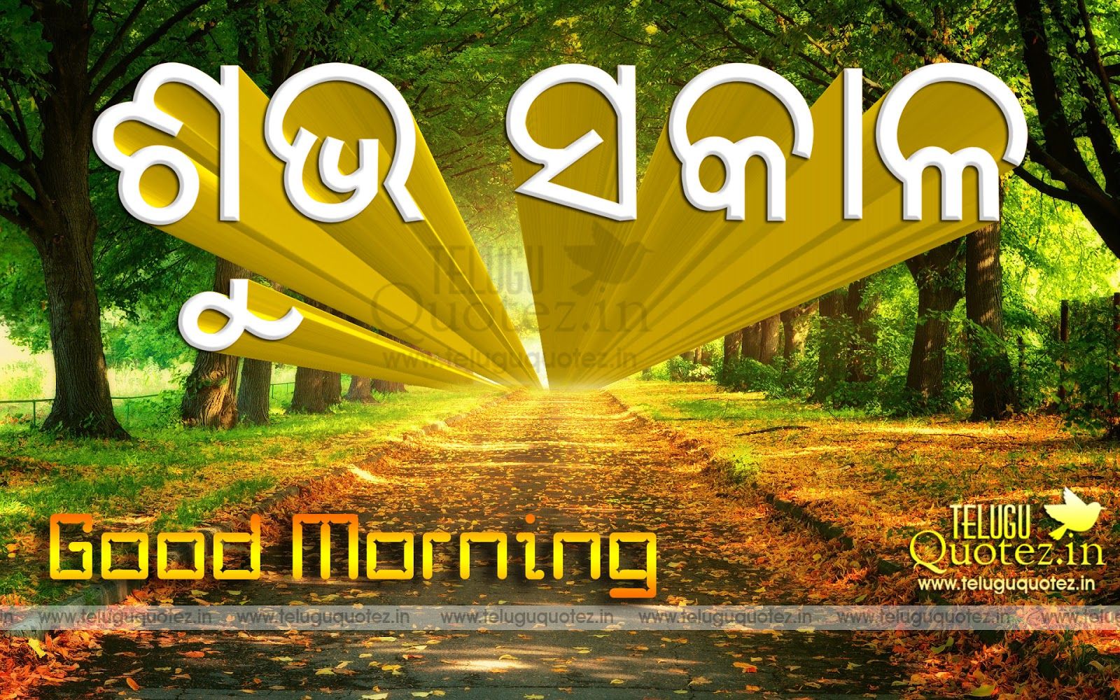 Good Morning Quotes And Sayings In Oriya Language Teluguquotez - Good Morning Message In Odia Language , HD Wallpaper & Backgrounds