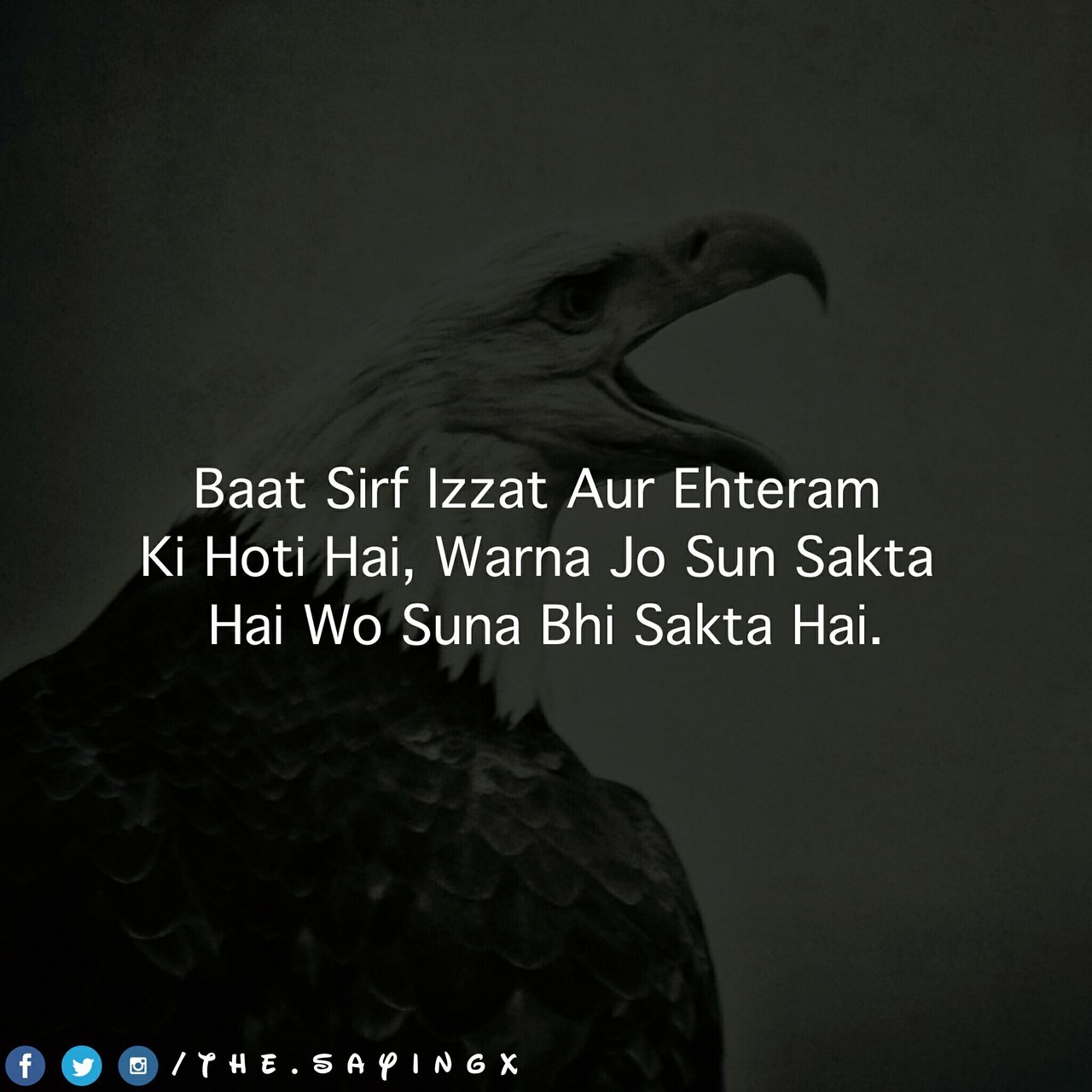 734 Images About Shayri On We Heart It - Izzat Shayari , HD Wallpaper & Backgrounds