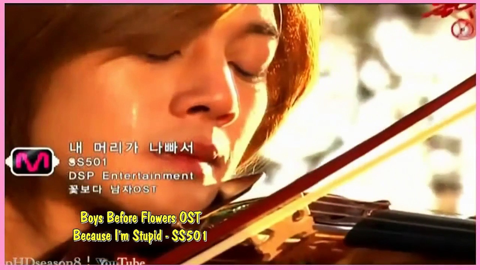 Boys Before Flowers Ost Because I'm Stupid Ss501 - Ji Hoo Boys Before Flowers , HD Wallpaper & Backgrounds