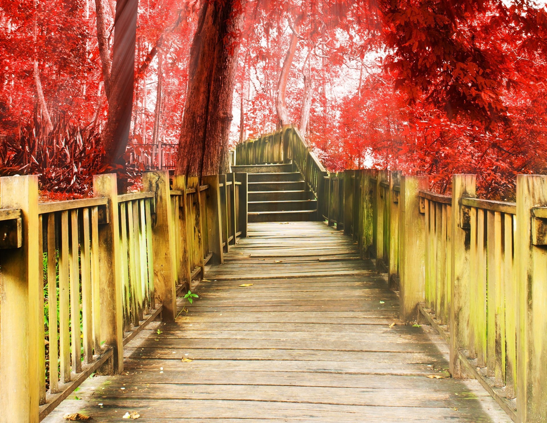 Miscellaneous Track Stairs Degree A Step Tree Red Background - Background Images Hd Full Screen , HD Wallpaper & Backgrounds