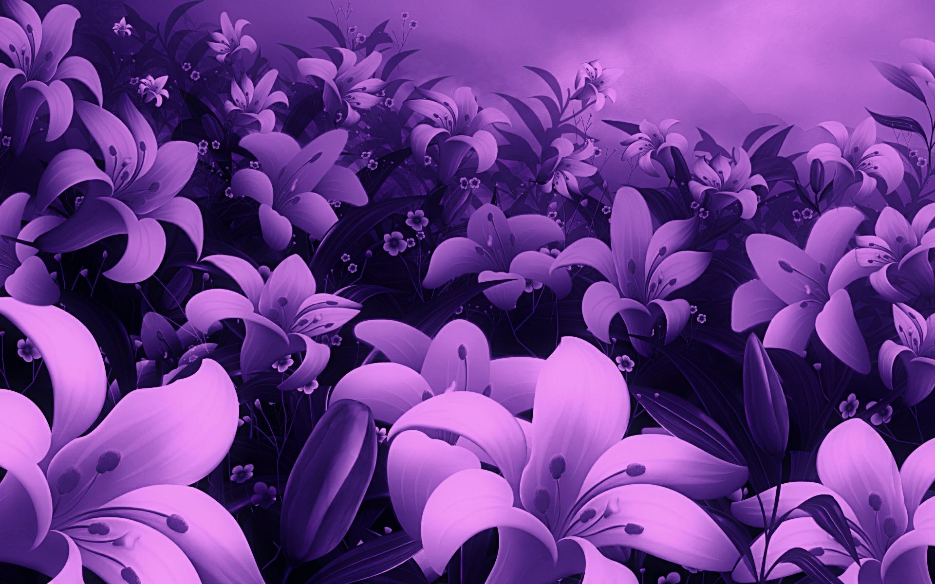 Beautiful Flower Indoor Wallpaper Hd Desktop M - Full Screen Flower Wallpaper Hd , HD Wallpaper & Backgrounds