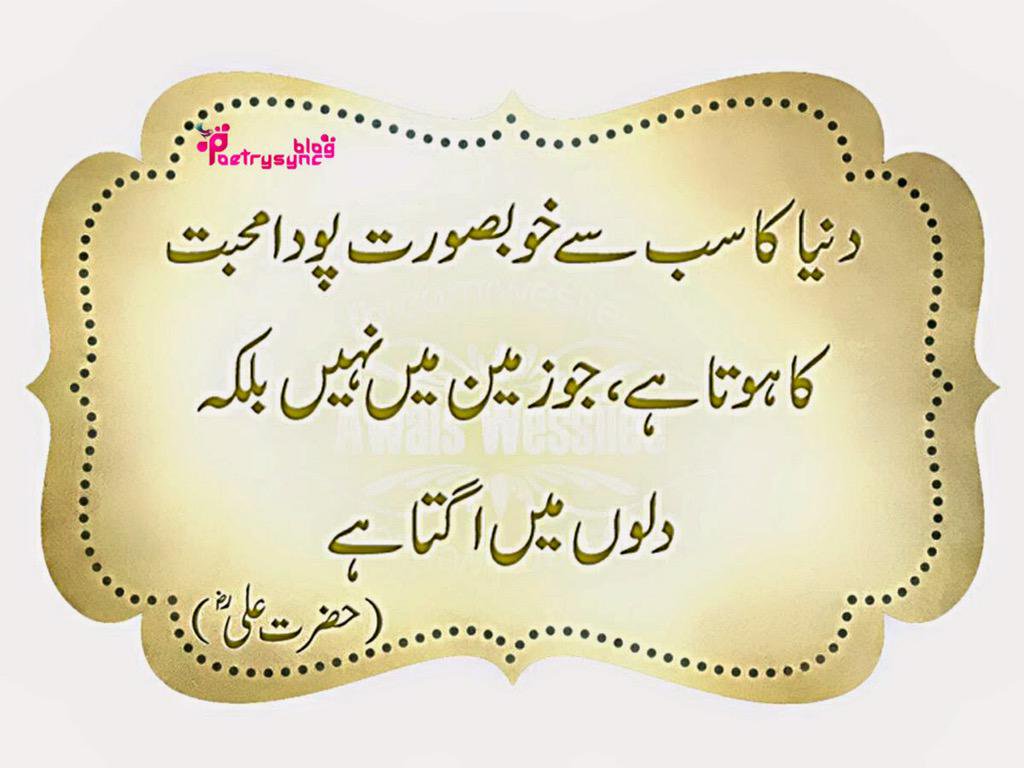 Walikum Salam Wallpaper - Islamic Dua Quotes In Urdu , HD Wallpaper & Backgrounds