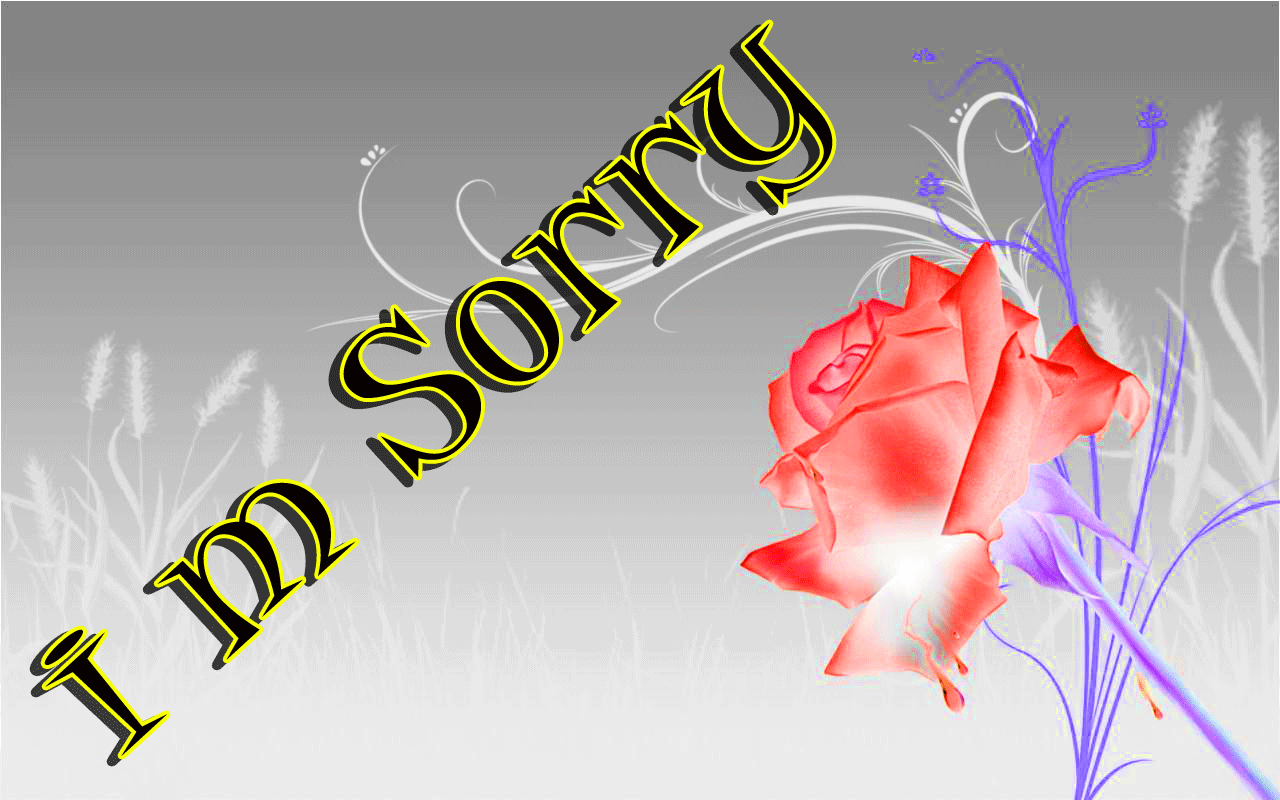 I Am Sorry Images Wallpaper Pics Download - 3d Red Rose , HD Wallpaper & Backgrounds