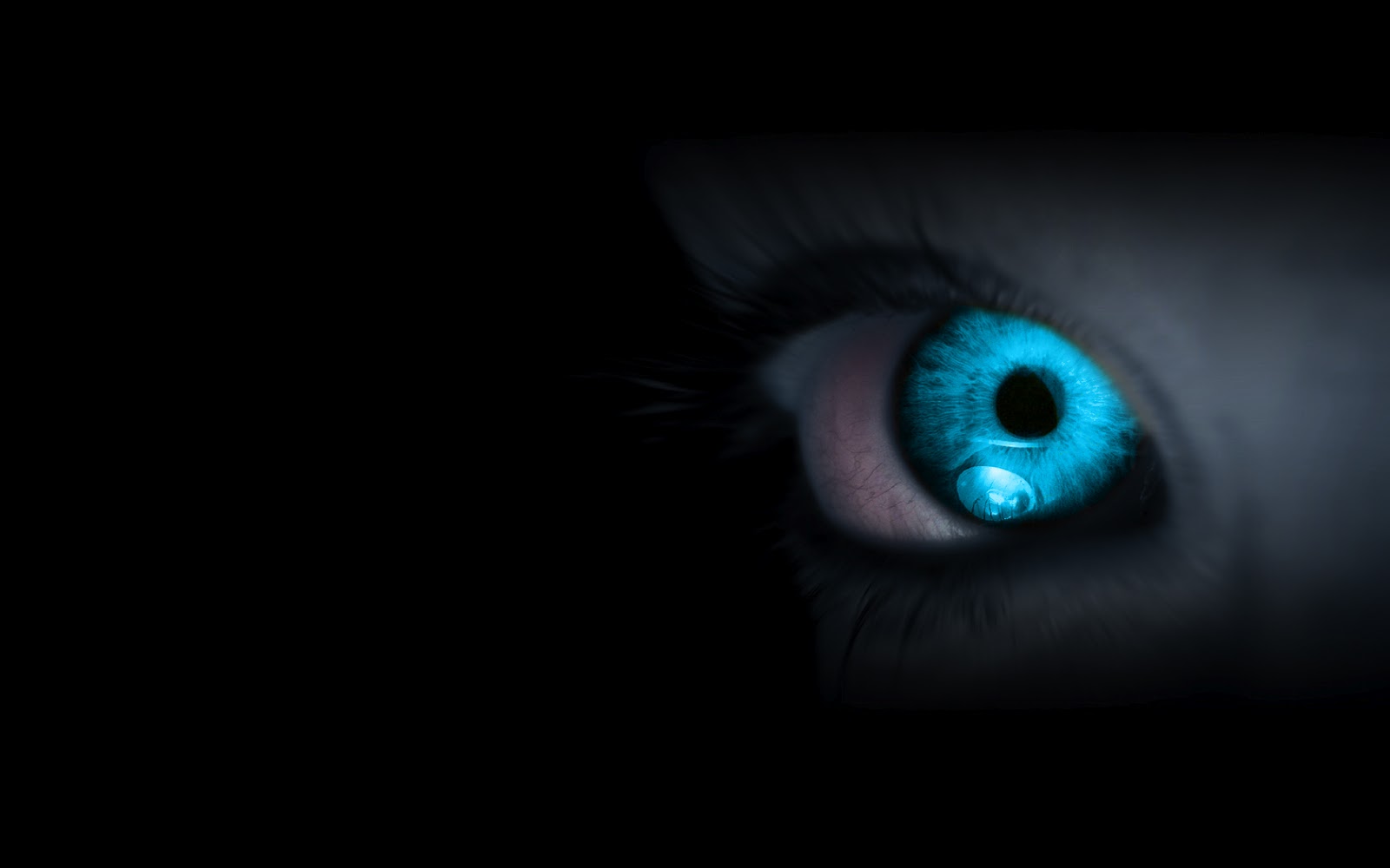 100% Free Hd Quality Desktop Images - Blue Eyes Black Background , HD Wallpaper & Backgrounds
