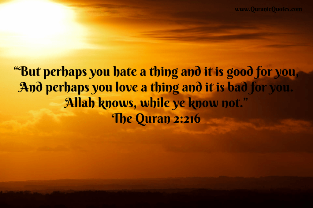 25 The Quran 2 216 Surah Al Baqarah Quranic Quotes - You May Love Something Which Is Bad , HD Wallpaper & Backgrounds