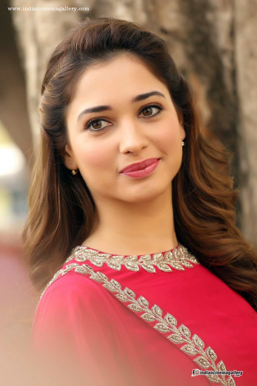 Tamanna Latest Bengal Tiger , HD Wallpaper & Backgrounds