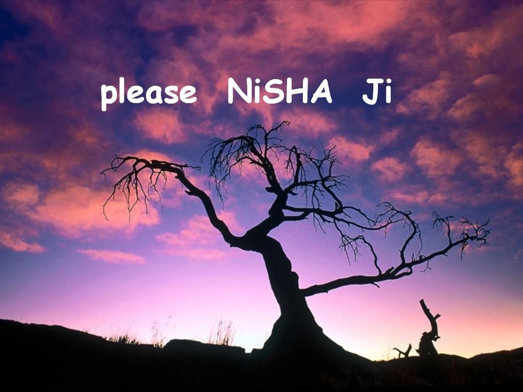 Download Nisha Wallpaper Name Gallery - Skyline Pigeon Elton John Lyrics , HD Wallpaper & Backgrounds