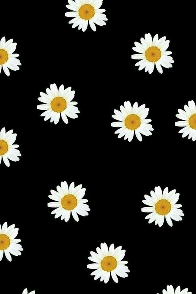 Daisy Wallpaper, Sea Wallpaper, Tumblr Wallpaper, Pattern - Plano De Fundo Margarida , HD Wallpaper & Backgrounds