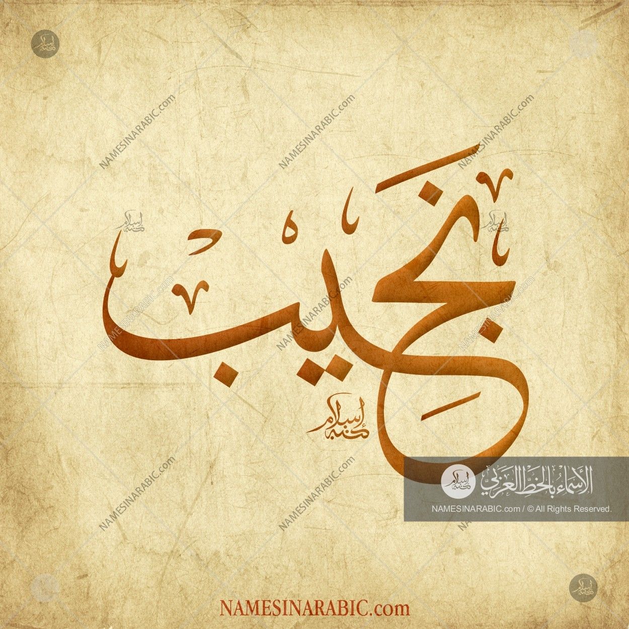 نجيب / Names In Arabic Calligraphy - Yahya In Arabic Calligraphy , HD Wallpaper & Backgrounds