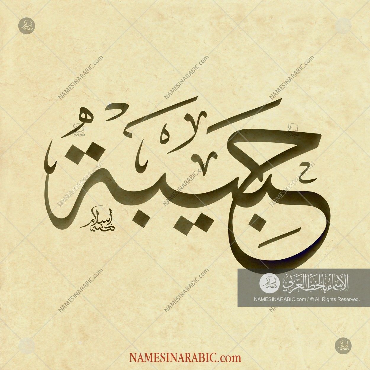 حبيبة / Names In Arabic Calligraphy - Habiba In Arabic Calligraphy , HD Wallpaper & Backgrounds