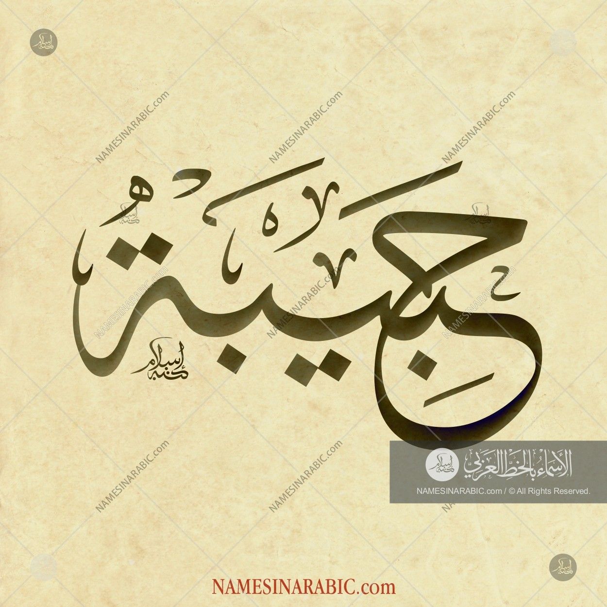 Gratis Download Gambar حبيبة Names In Arabic Calligraphy Habiba In Arabic Calligraphy Terkeren oleh Cikimm.com