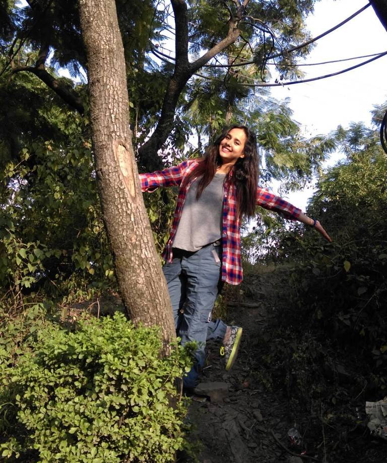 Sunanda Sharma Holding Tree-403 - Sunanda Sharma In Saree , HD Wallpaper & Backgrounds
