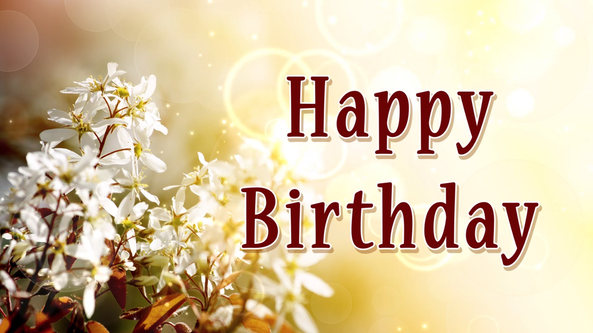 Happy Birthday Image With Beautiful White Flower - Happy Birthday Flowers Background , HD Wallpaper & Backgrounds