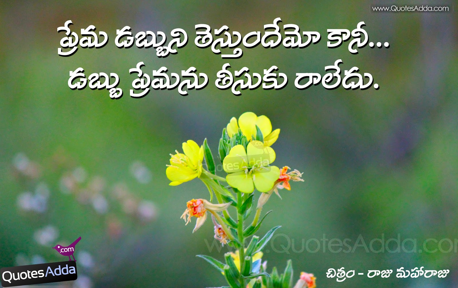 I Love You Raju Name Wallpaper - Caesalpinia , HD Wallpaper & Backgrounds