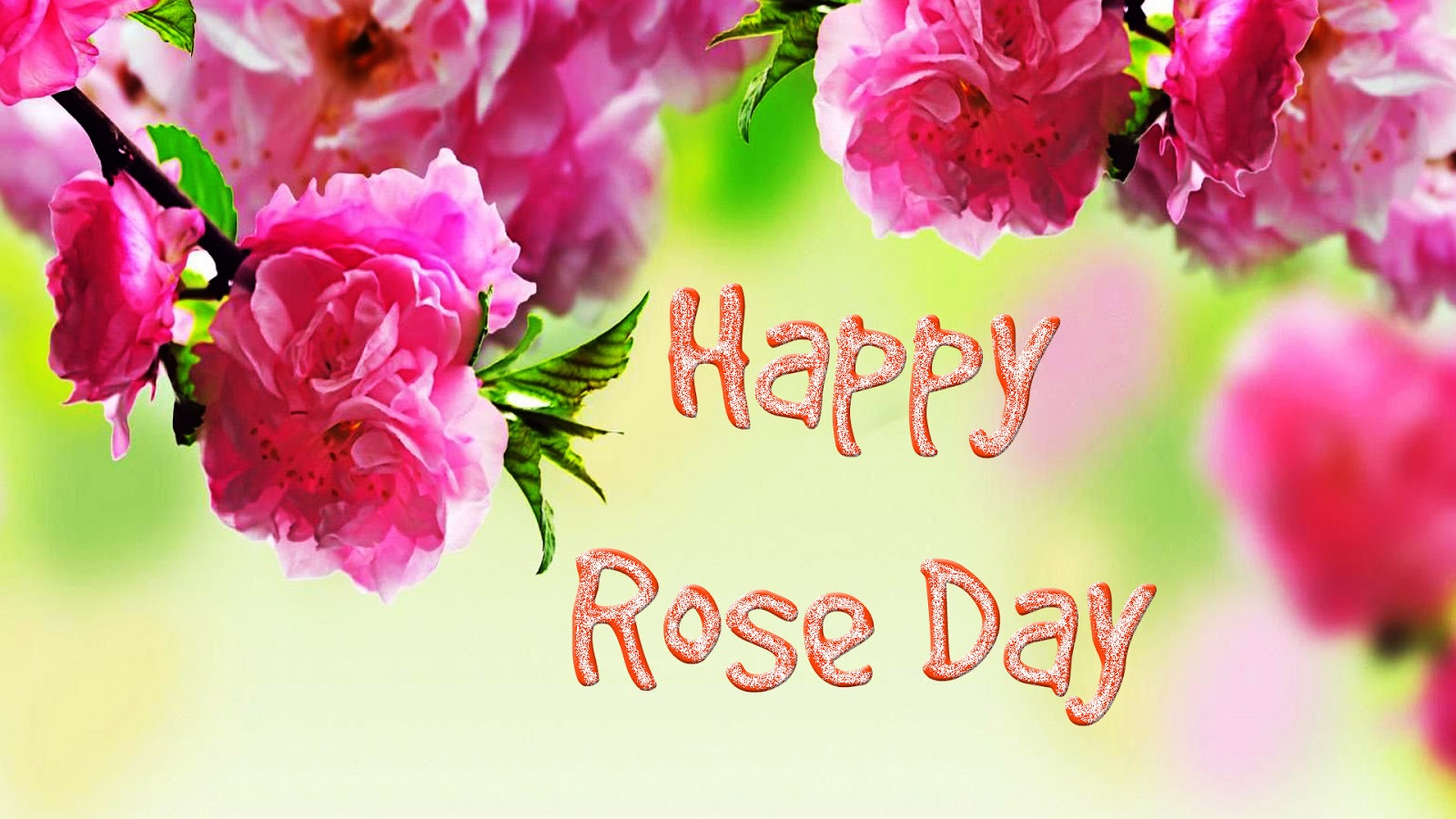 Happy Rose Day Wallpapers - Arka Plan Çiçekli Duvar Kağıtları Çiçek , HD Wallpaper & Backgrounds