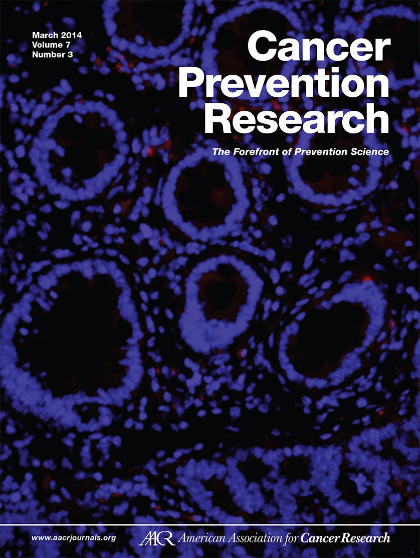 Raloxifene And Antiestrogenic Gonadorelin Inhibits - Poster , HD Wallpaper & Backgrounds