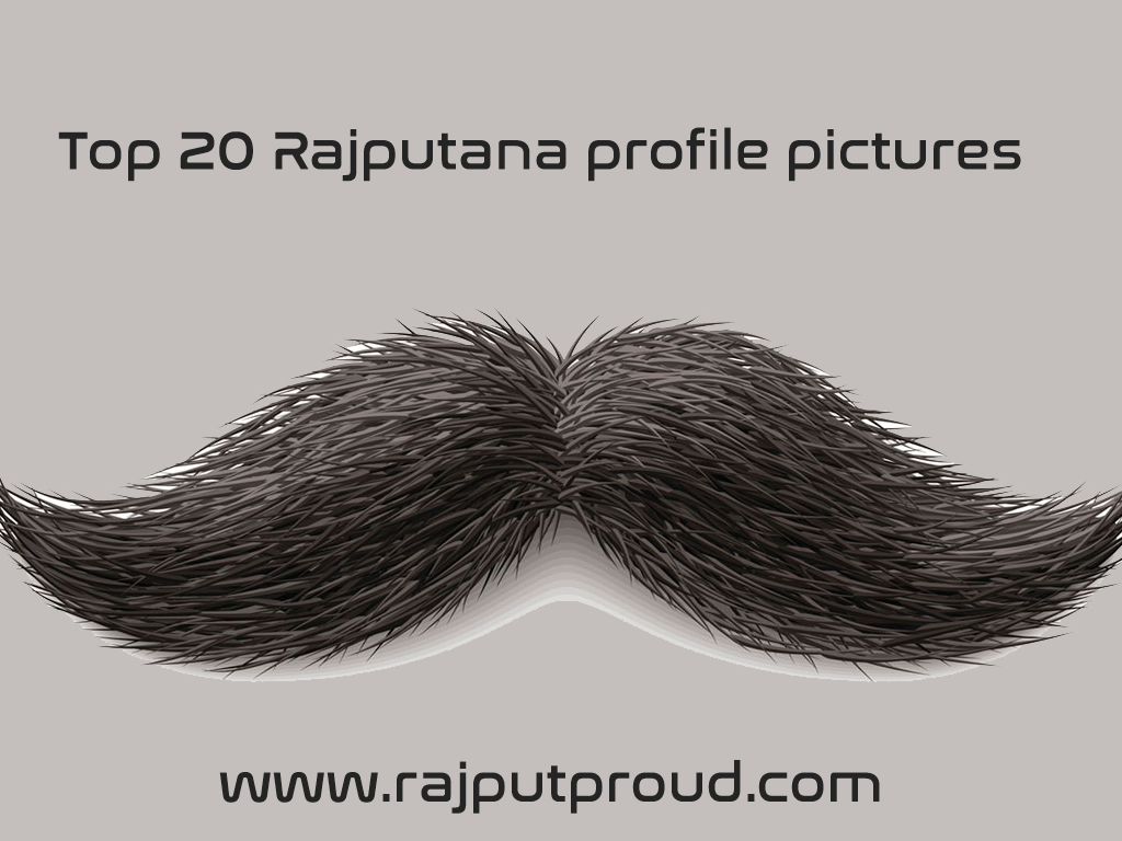Top 20 Rajputana Profile Pic - Whiskers , HD Wallpaper & Backgrounds
