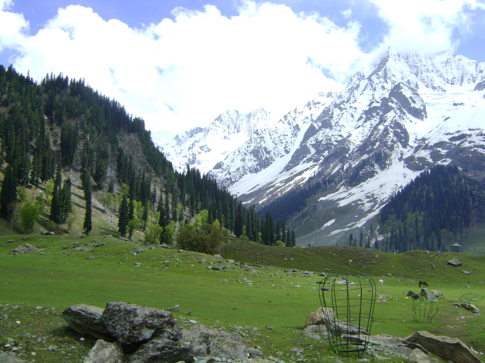 Jammu Image - Sonamarg , HD Wallpaper & Backgrounds