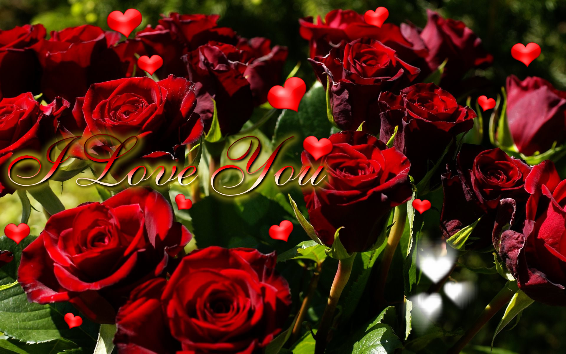 Hearts And Roses Wallpapers - Red Rose L Love You , HD Wallpaper & Backgrounds