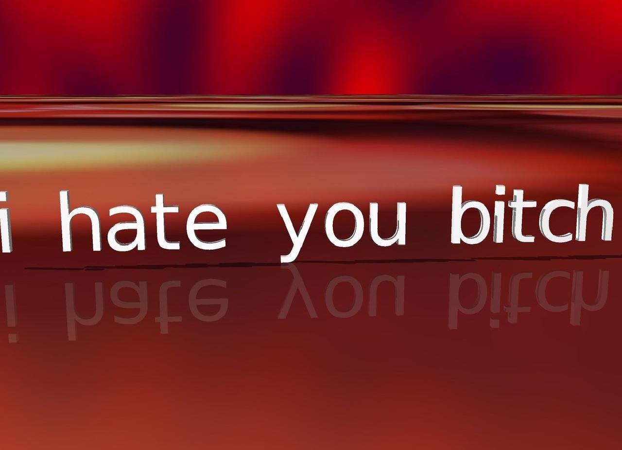 I Hate You Bitch Image - Graphic Design , HD Wallpaper & Backgrounds