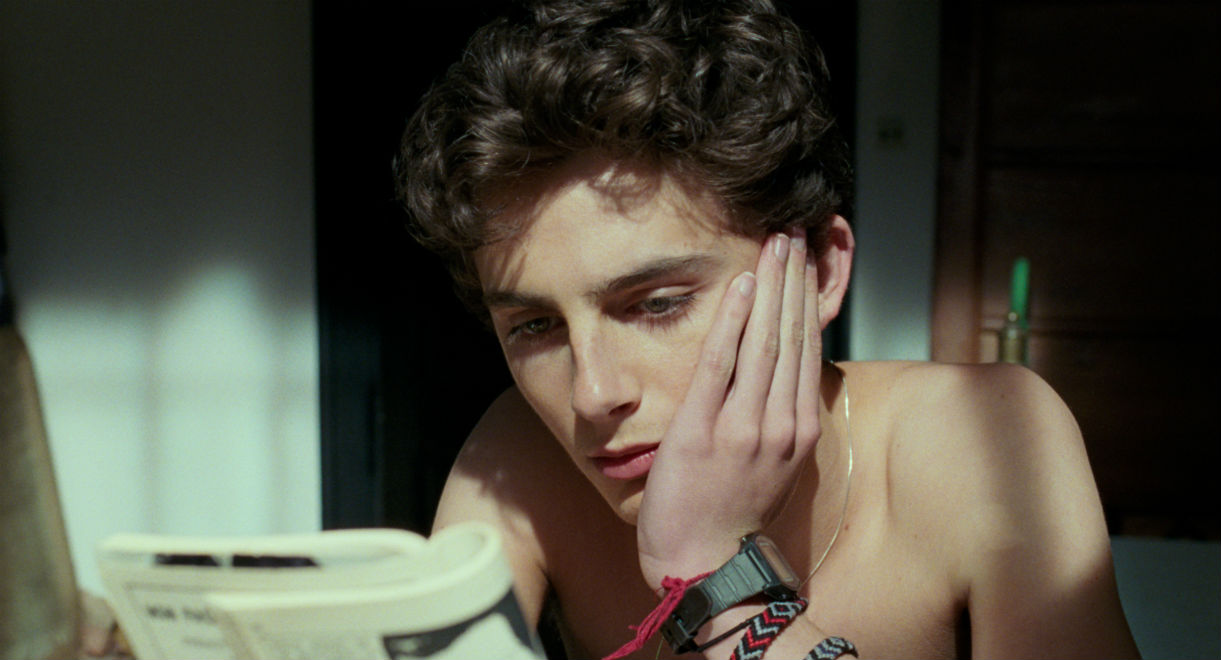 Luca Guadagnino Is Love - Timothee Chalamet Call Me By Your Name , HD Wallpaper & Backgrounds
