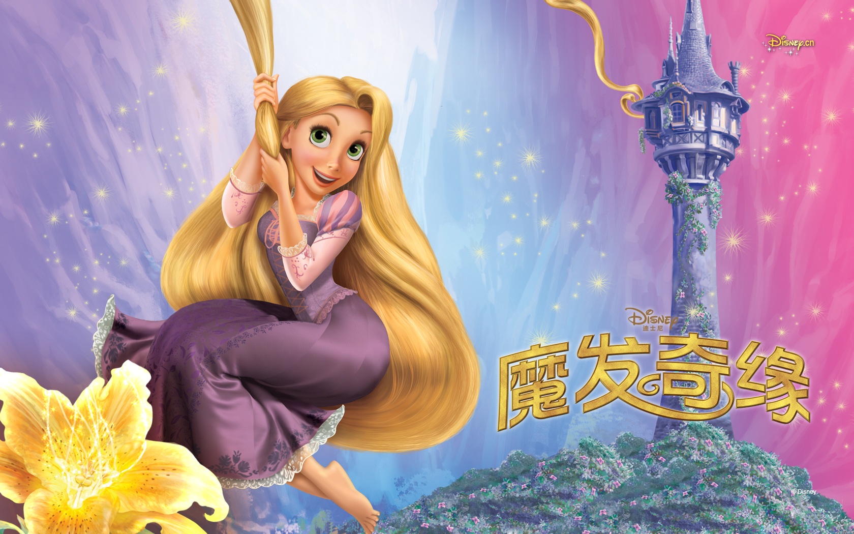 Download This Wallpaper - Rapunzel Png , HD Wallpaper & Backgrounds
