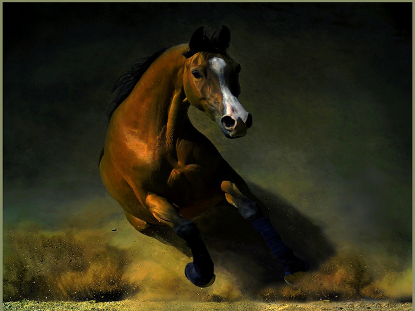 Fondos De Pantalla De Caballos - Battle Horse , HD Wallpaper & Backgrounds
