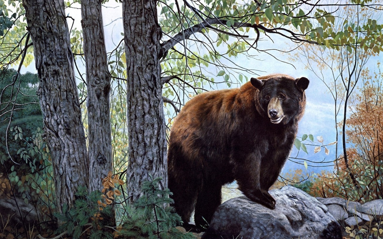 Originalwide Bosque De Brown Del Oso De La Roca Wallpapers - Bear In The Woods Painting , HD Wallpaper & Backgrounds