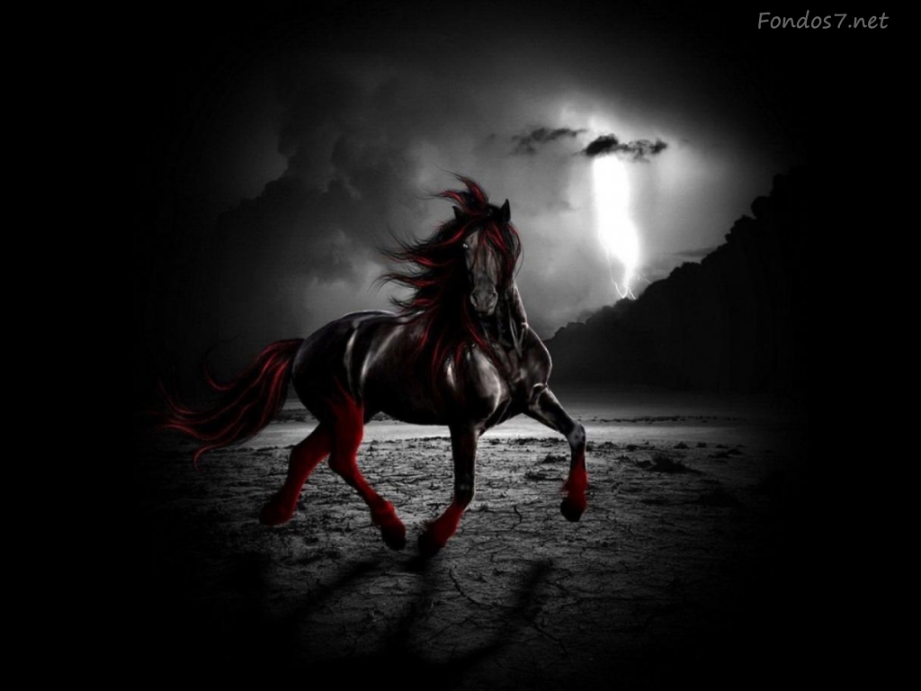 Fondos De Pantalla De Caballos - Dark Horse At Night , HD Wallpaper & Backgrounds